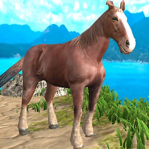 Horse Simulator
