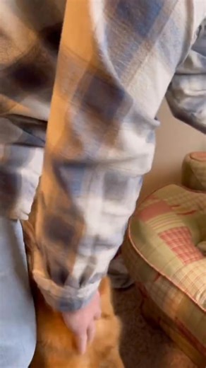 Colt is very demanding when it comes to chest scratchies 😂 #fyp #petsontiktok #itsourhome #dog #takeabite | Colt Blue Talking Catahoula