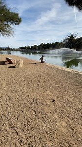 59K views · 354 reactions | Scaring strangers in the park goes wrong, O | Aloha Ocean | Facebook