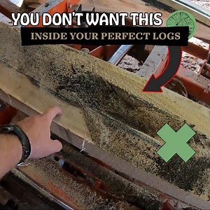 A Timber With A Slight Defect *Sending Samples* | Out of the Woods Forestry