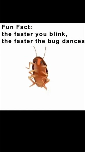 Try to blink faster😆 #funny #viral