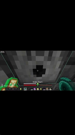 Seamless Regear Donutsmp (Multiple Person)