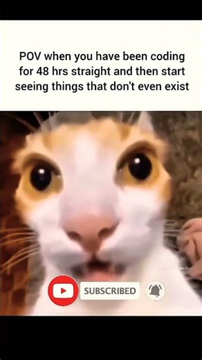 This Is What 48 Hours of Programming Does to Your Brain 🤯 | Coding | Programming