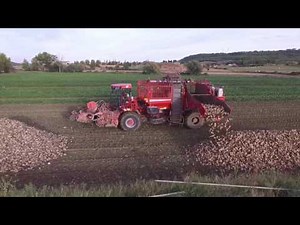 Cosechadoras de remolacha Holmer Terra dos T3 - drone