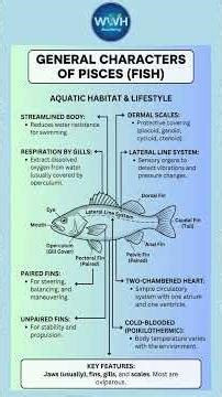 Pisces (Fishes): General Characters & Classification #fish #zoology #neet #sience #hindi #india