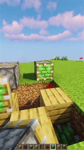 Minecraft Block Swapper💀