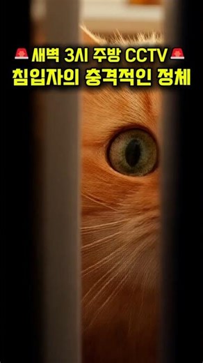 🚨새벽 3시 주방 CCTV🚨 침입자의 움직임이 예사롭지 않음 (소름 주의)