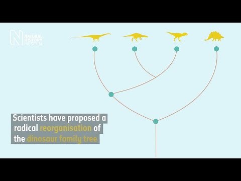 Dinosaur family tree gets major makeover | Natural History Museum