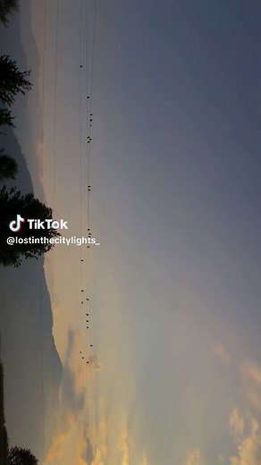 Stunning Sunset Over Mountains with Flying Birds