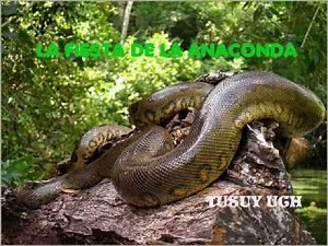 LA FIESTA DE LA ANACONDA MP3