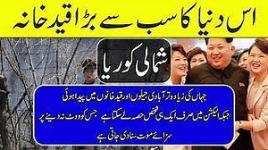 1.8M views · 5.4K shares | Voice Digital on Reels | Facebook