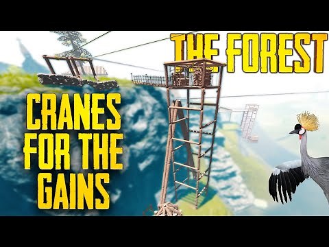 Ultimate Guide to Cranes in The Forest