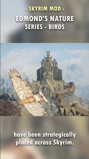 Skyrim FINALLY has Proper Birds! 🦅