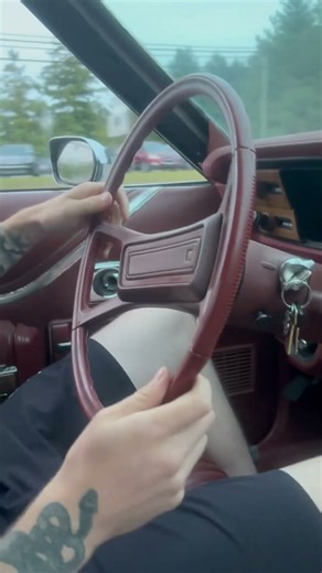 My Brothers AMC Spirit