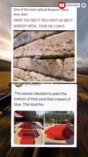 funny memes 😂👍🏿#shorts