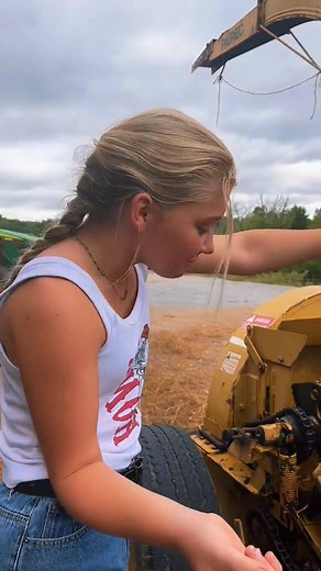 25K views · 987 reactions | Corn silage chopping equipment. The silage chopper!#farmfamily #farmersdaughter #farmlife #corn #cattle | The Ellis Herd | Facebook