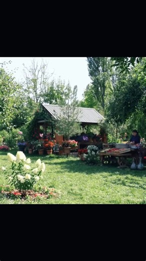 New Car Adventure and Homemade Compots for Winter | Polychrome by Ernest Carlo Guiuntab