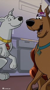 24K views · 1.7K reactions | Ruff, ruff, and away! Scooby-Doo could sure use some trick-or-treat training from Krypto this #Scoobtober | Scooby-Doo | Facebook