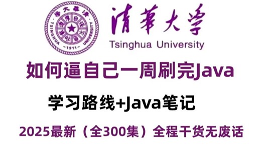 【Java零基础入门】300集Java保姆级教程！从入门到精通，2025最新版，全干货无废话，超详细全套保姆级教程，从零基础到接单赚钱