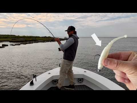 I Caught My Limit Of Flounder And Speckled Trout In ONE SPOT On One Lure!