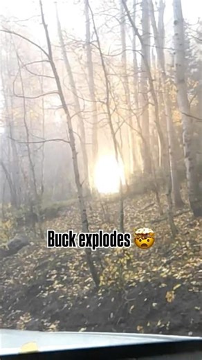 Buck explodes 🤯 this is crazy