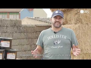 Quickphos Bags de UPL: La Solución Eficaz para el Control de Plagas en Almacenamiento