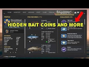 Where to get Bait Coins and hidden gear in Fishing Planet tips and tricks 2025