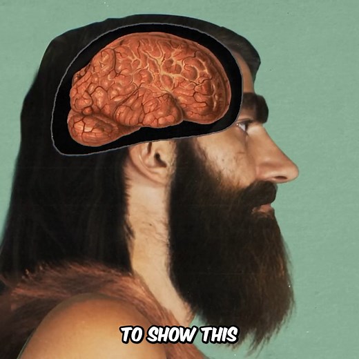 5.2M views · 56K reactions | This Is Why Everybody Is So Tired (And How To Fix It) | Johnny Harris | Facebook