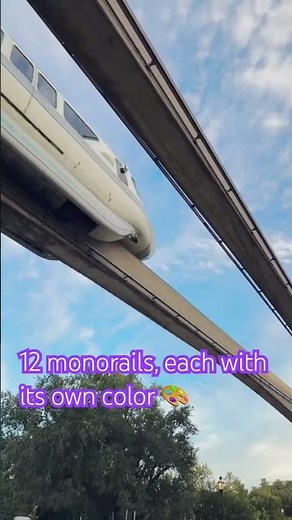 🚝 Double Monorail Magic | Silver Glides + Peach Surprise Above ✨