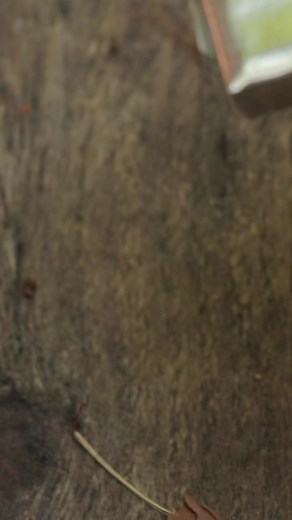 Fire by chewing gum wrapper and a battery. Not one to regularly do, but always good to know in case you need it in an emergency. #survival #survivaltips #bushcraft #camping #outdoors #wilderness #wildernessskills #offgrid #survive #taoutdoors