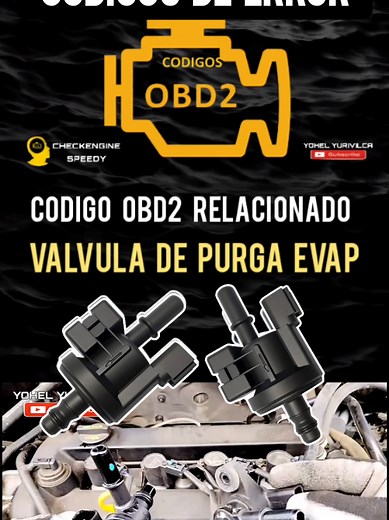 Función de la Válvula de Purga EVAP en Vehículos