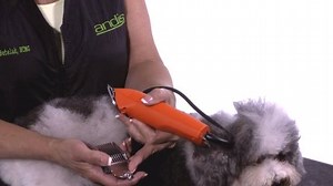 Learn how to properly use snap-on comb attachments on Andis clippers with #AndisGrooming Educator Diane Betelak! #AndisGroomingUK | Andis Grooming UK