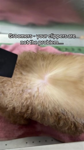 Essential Grooming Prep Tips for a Smooth Finish