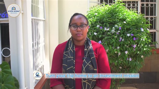 Kenyan Diaspora: Strategic Land Investment Tips | Nyota Njema Real Estates Ltd posted on the topic | LinkedIn
