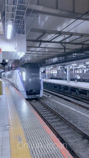 7.2K views · 124 reactions | Limited express train Japan  | Only in Japan | Facebook