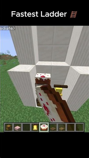 Fastest Ladder 🪜 Minecraft Build Hacks #minecraft