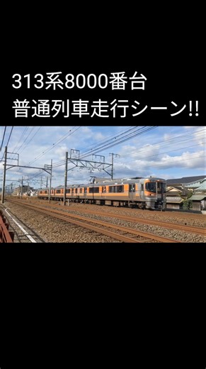 313系8000番台上り普通列車 #乗り物 #313系8000番台 #jr東海