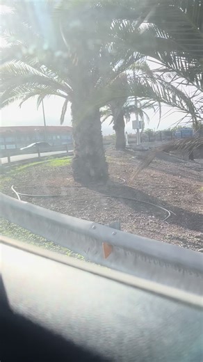 Videos de Free Hand🇺🇬🇪🇸🇮🇨🇻🇦 (@free.hand1) con “original sound - Free Hand🇺🇬🇪🇸🇮🇨🇻🇦”