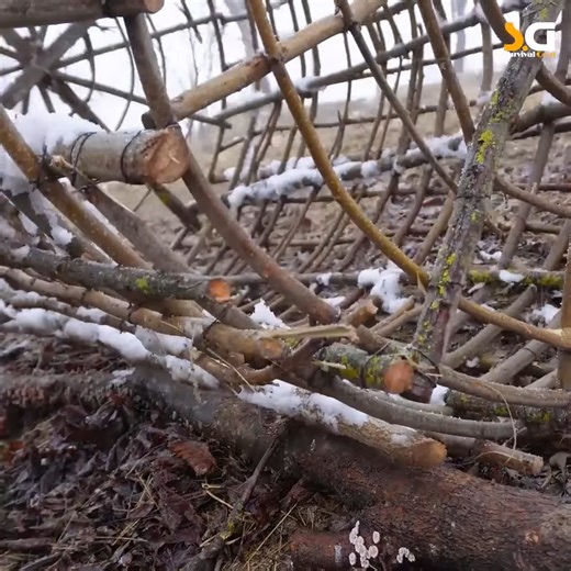 48K views · 1K reactions | Building the best survival shelter with a bushcraft treehouse | Camping videos Survival | Facebook