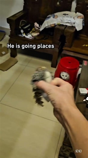 bro GPS not working 😹