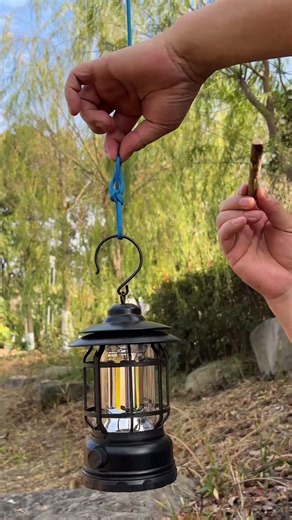Quick-Adjust Knot for Perfect Camping Light Height!! #wild #outdoors #bushcraft #survival #camping