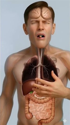 what happened when you smoking cigarette? #3dhealthvisuals#animation#bodyreaction#smokingcigarettes