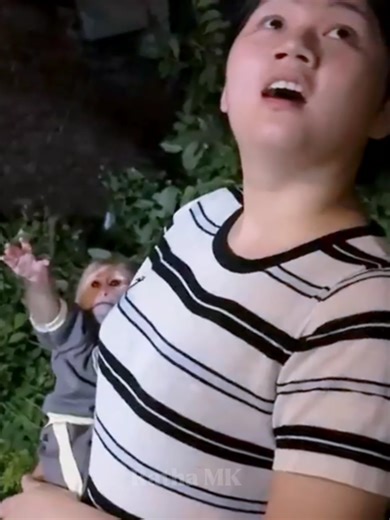 Hello everyone! Morning to Night: Lala's Adorable Daily RoutineWith family 🌞🌛! So Smart #LalaMK #Lala #Monkeylife #lala #bibimonkey