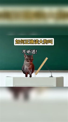 如何正確讀大狗叫 #貓meme #熱梗 #大狗叫 #搞笑 #抽象