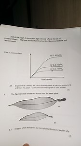 Look at the graph. It shows how light intensity affects the rat... | Filo