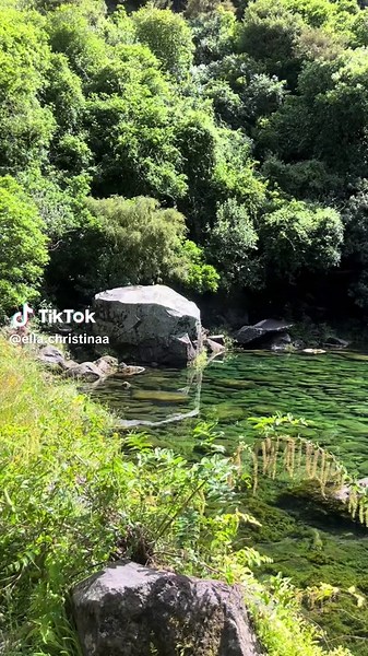 Discover Kuratau Lagoon - Taupo's Hidden Gem