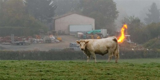 They're Coming to Take Me Away!