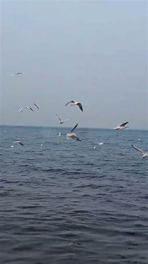 Unable to grow up fireworks are exploding