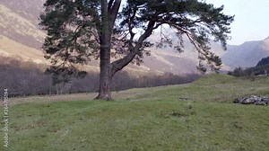 Typical Scottish Highlands Landscape Views with Mountains and Forests