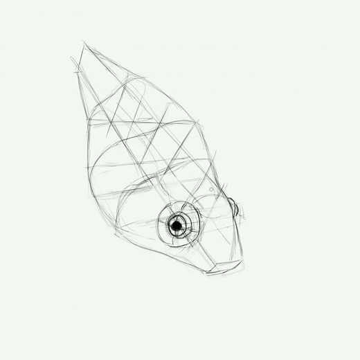 How To Draw a Fish Using Simple Shapes | Beginner Drawing Method